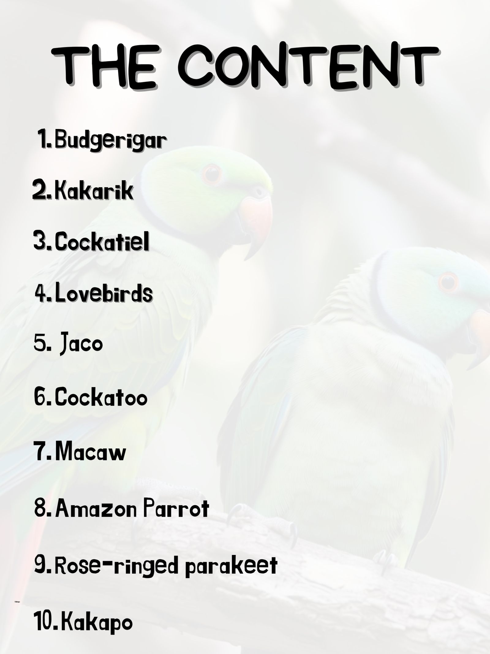 Different Types of Parrots (Free Demo) - Image 2