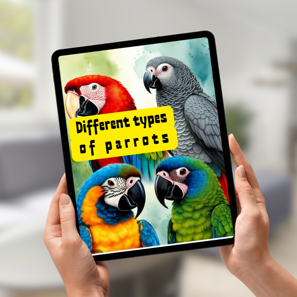 Different Types of Parrots (Free Demo)